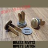 BRASS RIVETS SET FOR GERMAN HELMET LINER