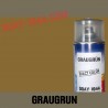 SPRAY GRAUGRUN