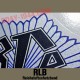 RLB german helmet decal